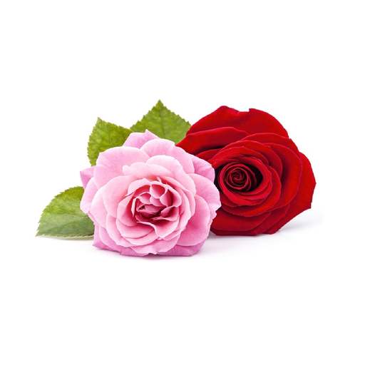 Unusual facts about Roses and Rose Oil!